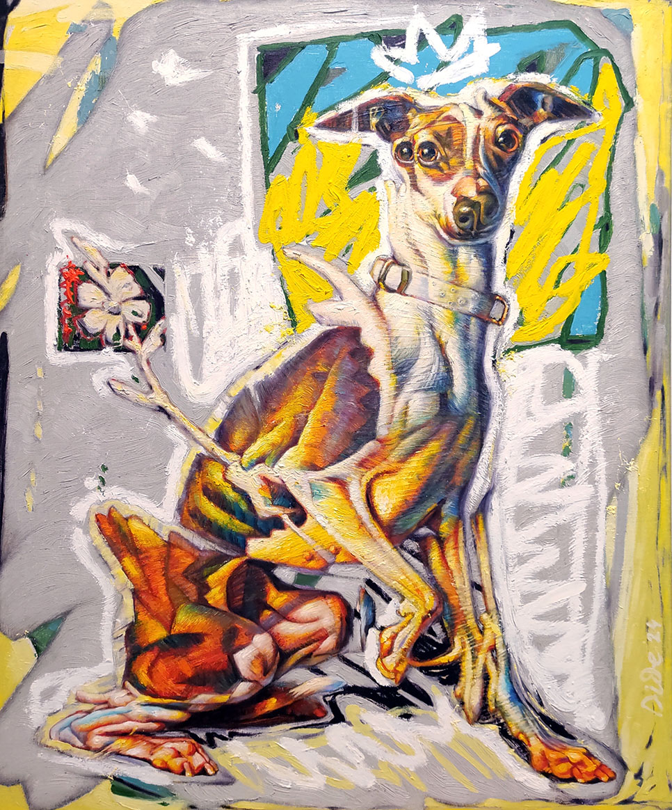 Italian Greyhound, 2024